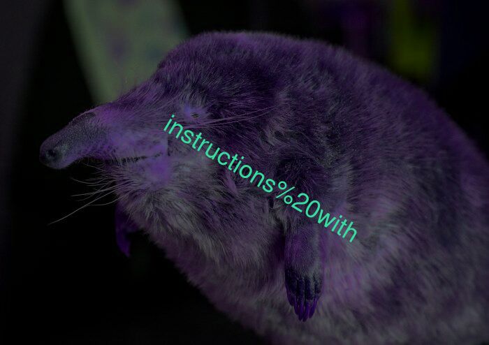 instructions with